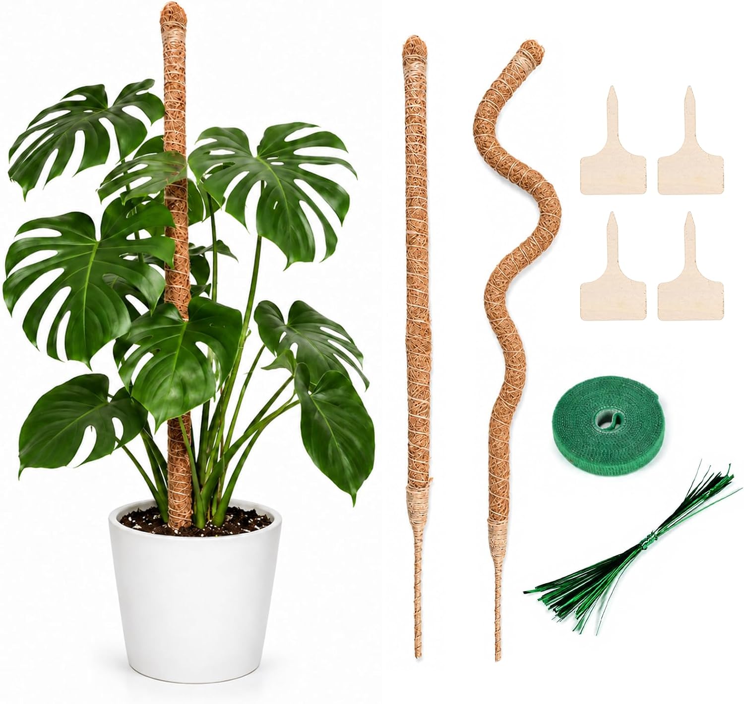 Set 2 Supporto Piante 60cm Traliccio per Rampicanti in Cocco