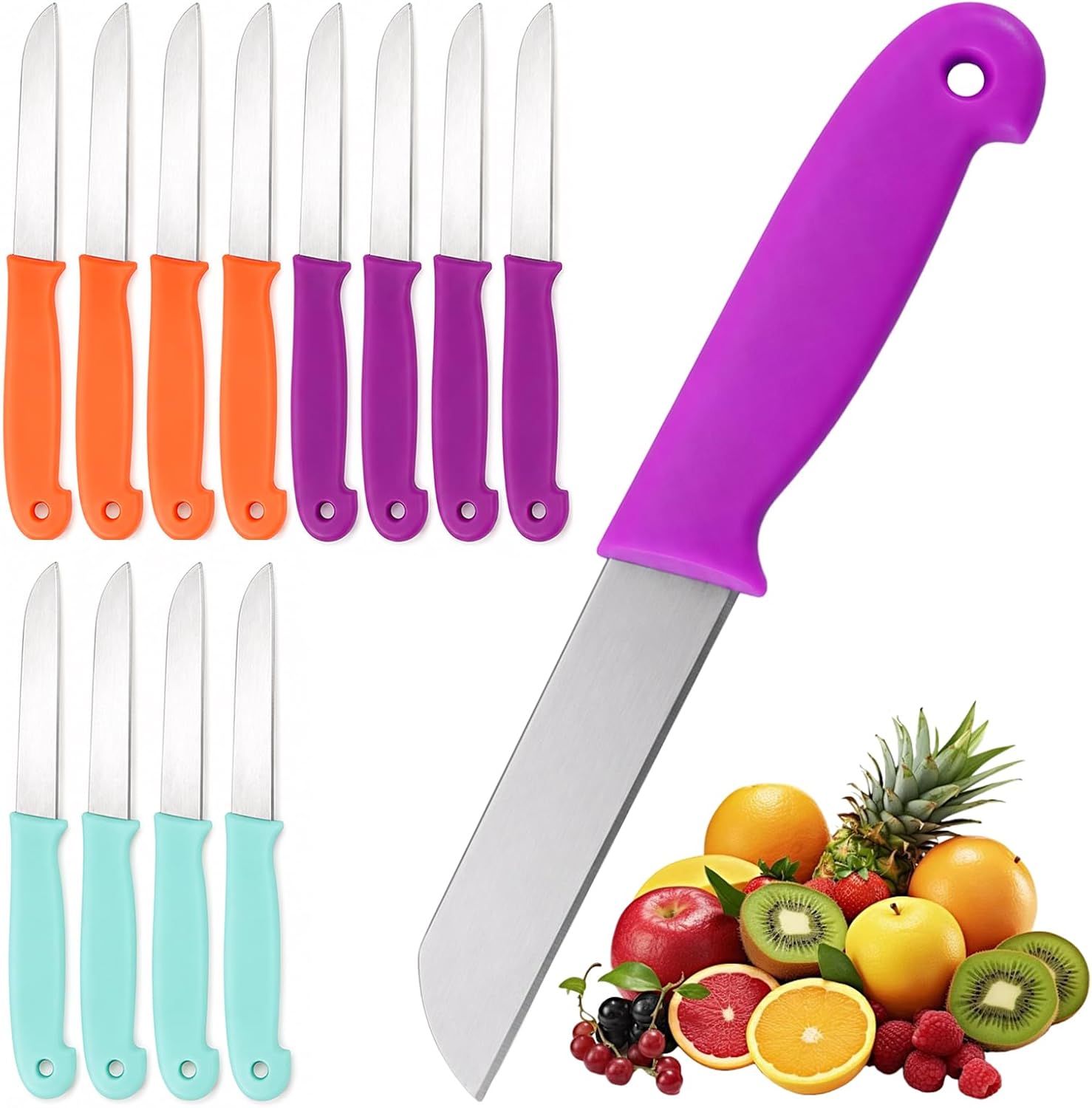 Carehabi Lot de 12 couteaux d’office inox pour fruits et légumes